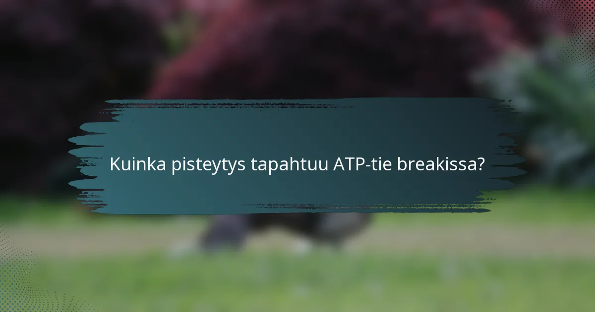 Kuinka pisteytys tapahtuu ATP-tie breakissa?