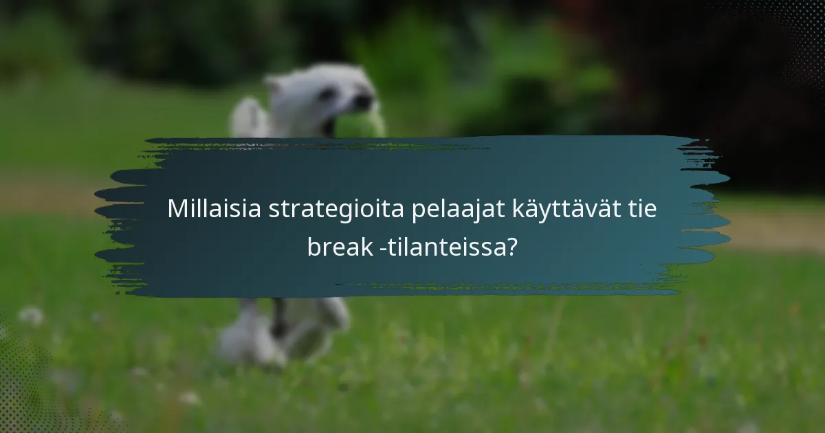 Millaisia strategioita pelaajat käyttävät tie break -tilanteissa?