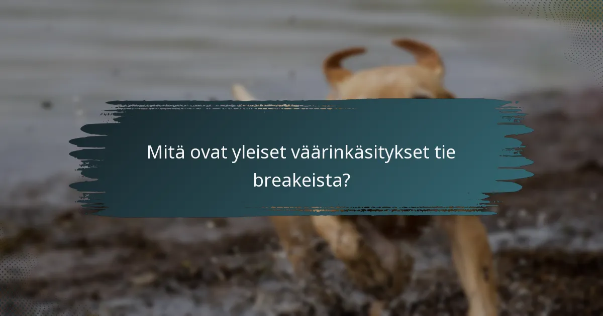 Mitä ovat yleiset väärinkäsitykset tie breakeista?