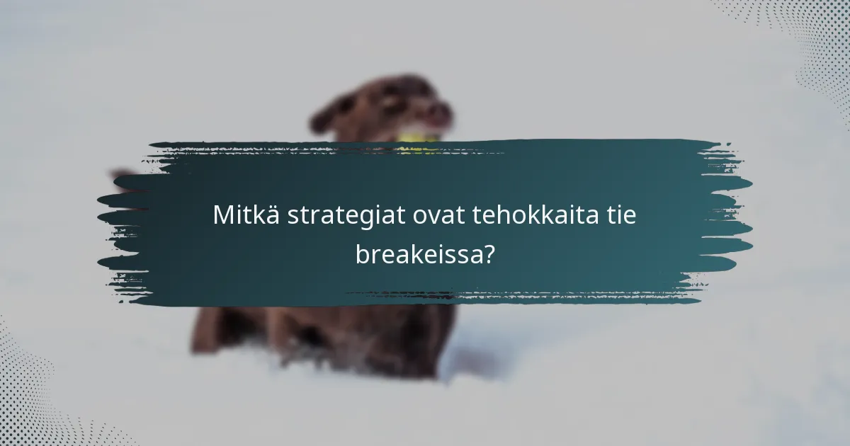 Mitkä strategiat ovat tehokkaita tie breakeissa?