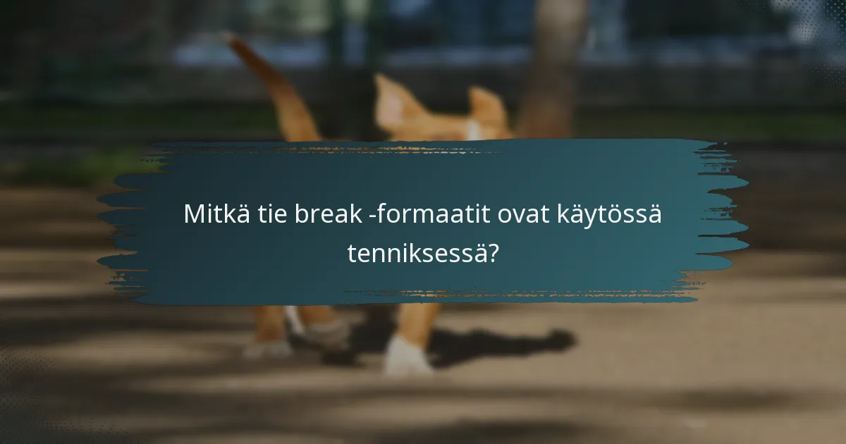 Mitkä tie break -formaatit ovat käytössä tenniksessä?